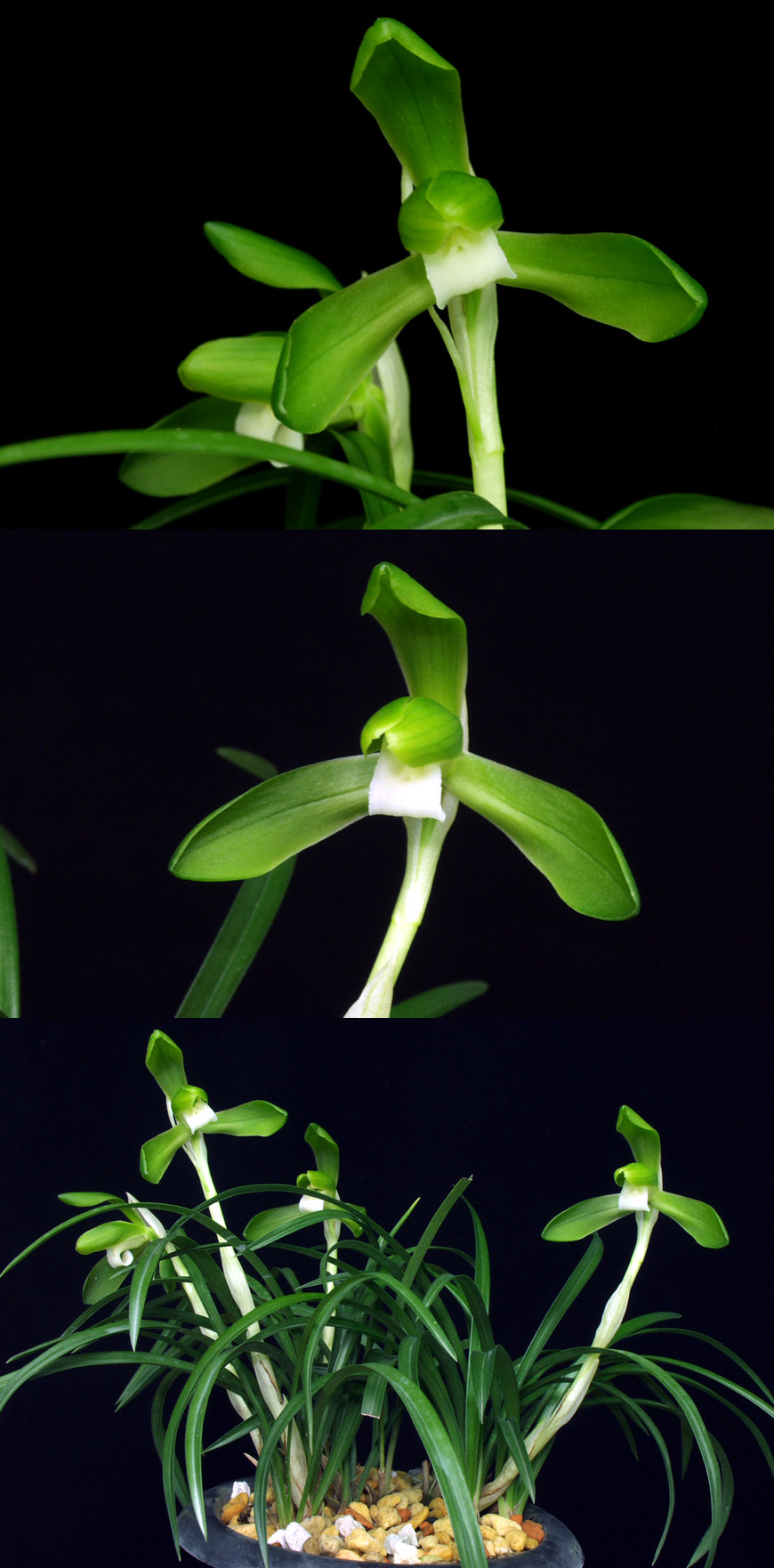 ������ ū������ �� �� �ֽ��ϴ�.