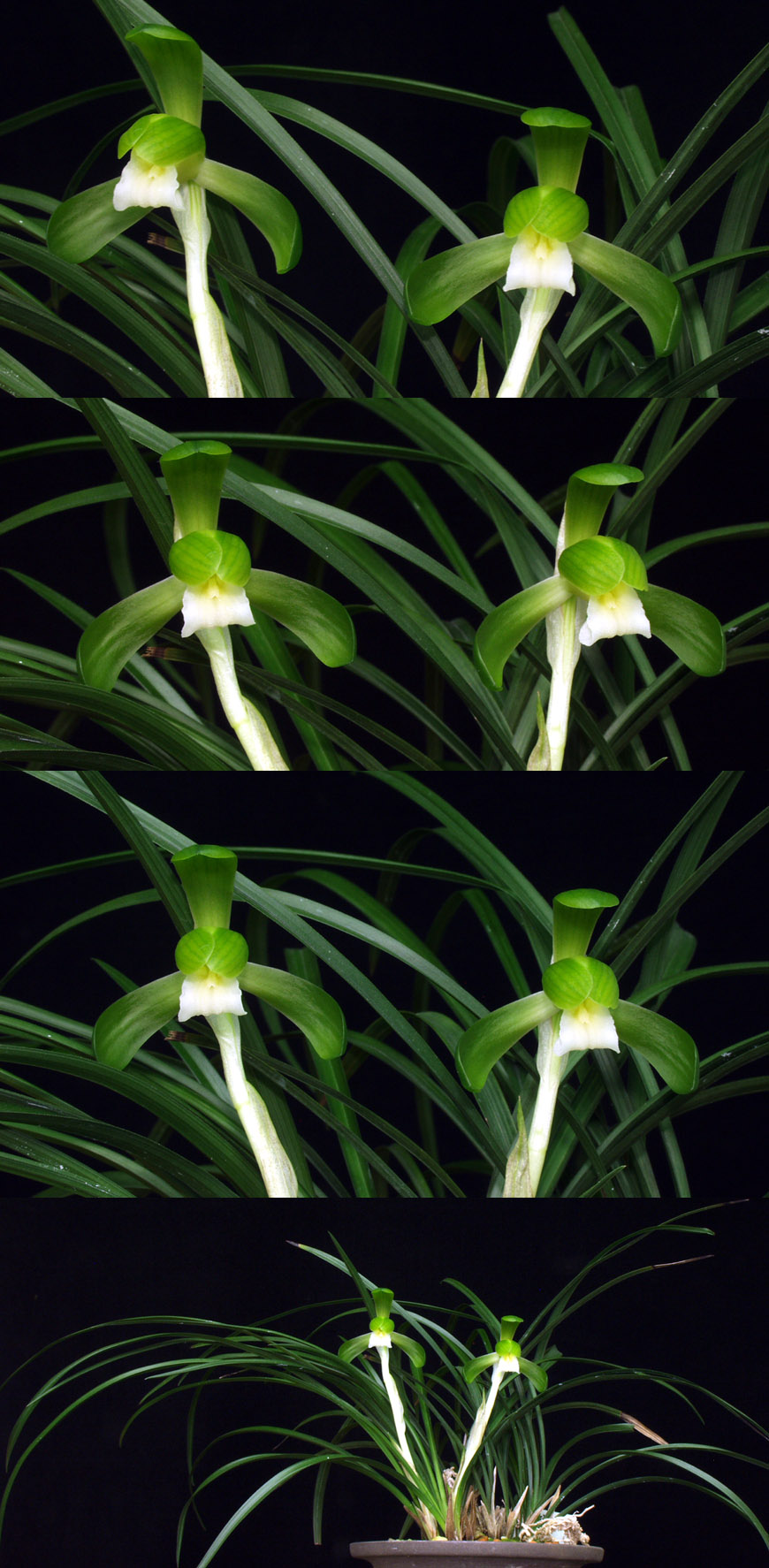 ������ ū������ �� �� �ֽ��ϴ�.