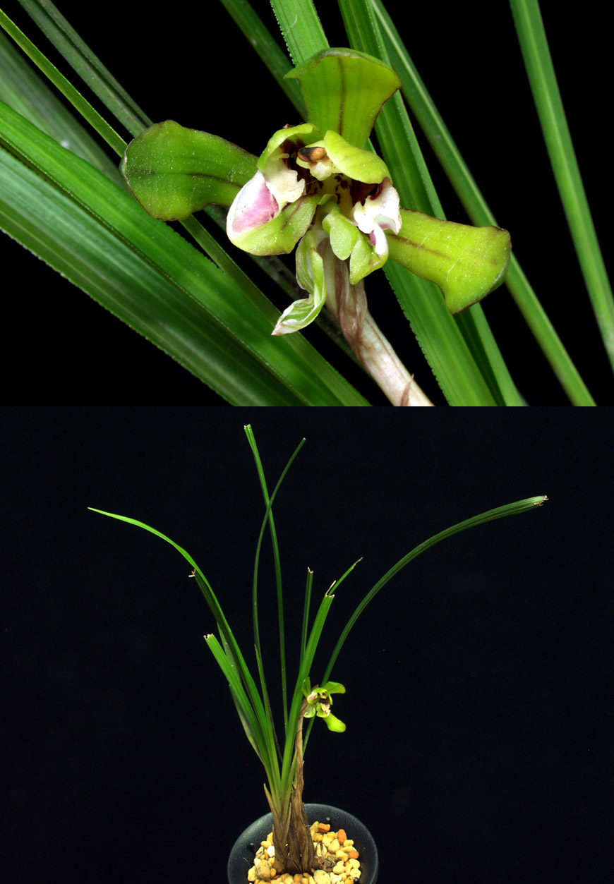 ������ ū������ �� �� �ֽ��ϴ�.