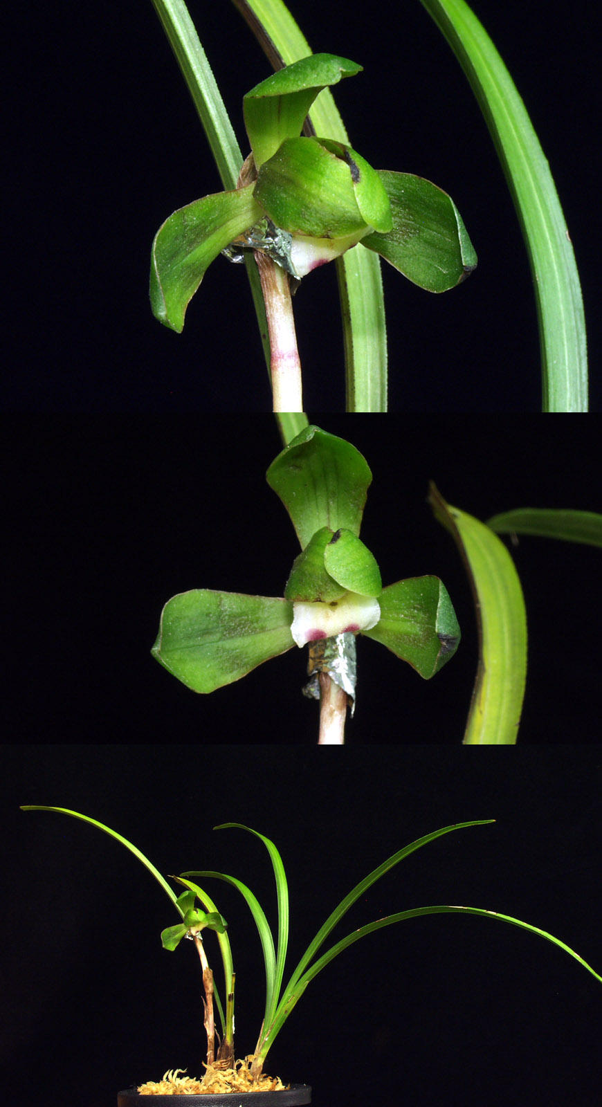 ������ ū������ �� �� �ֽ��ϴ�.