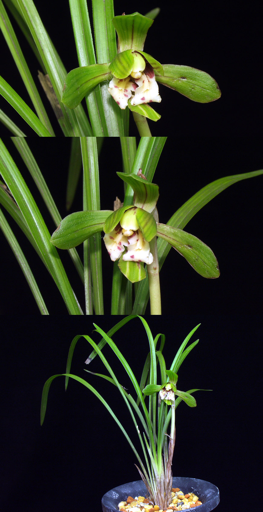 ������ ū������ �� �� �ֽ��ϴ�.