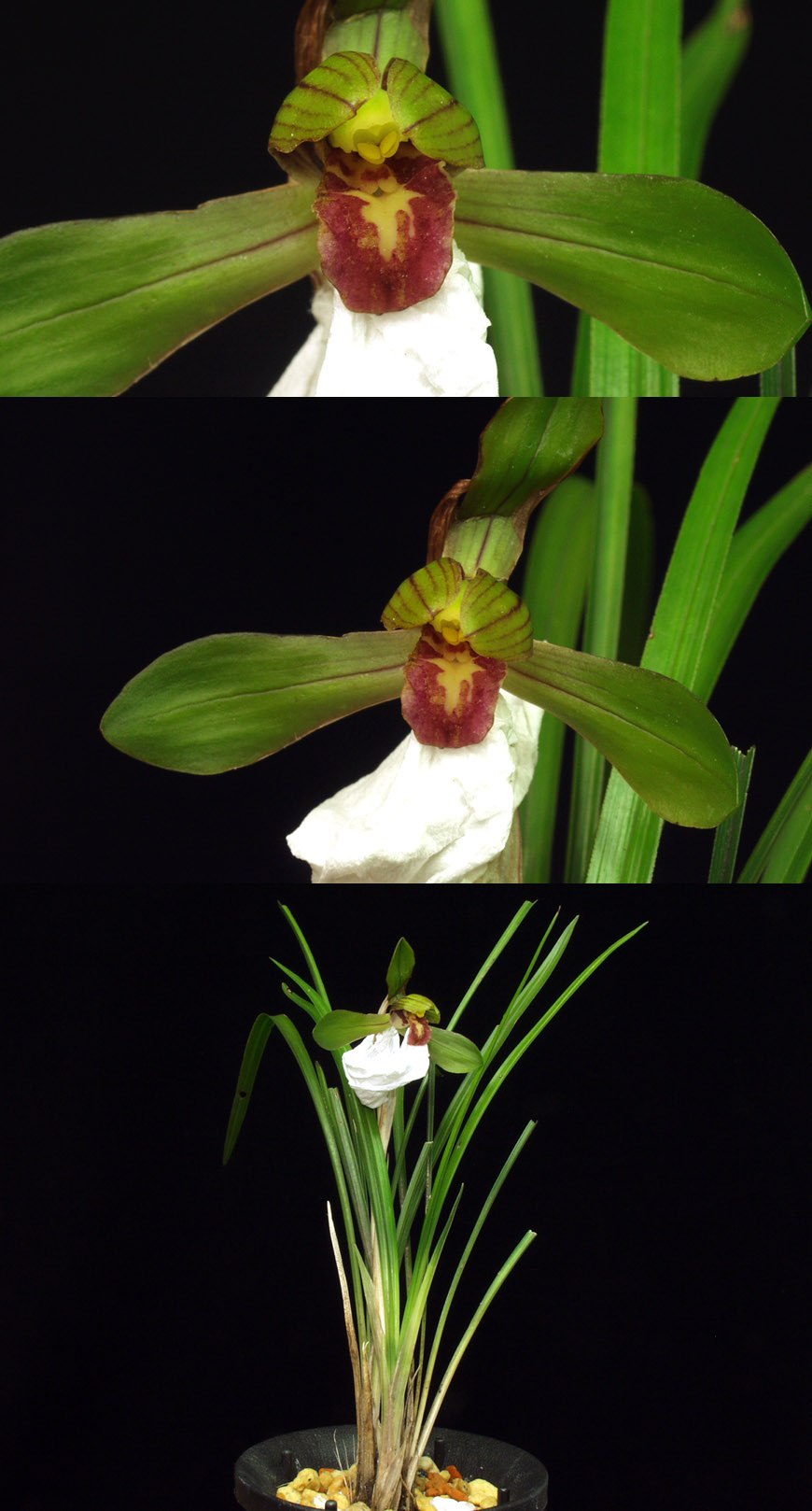 ������ ū������ �� �� �ֽ��ϴ�.