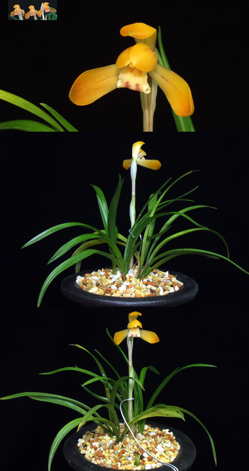 ������ ū������ �� �� �ֽ��ϴ�.