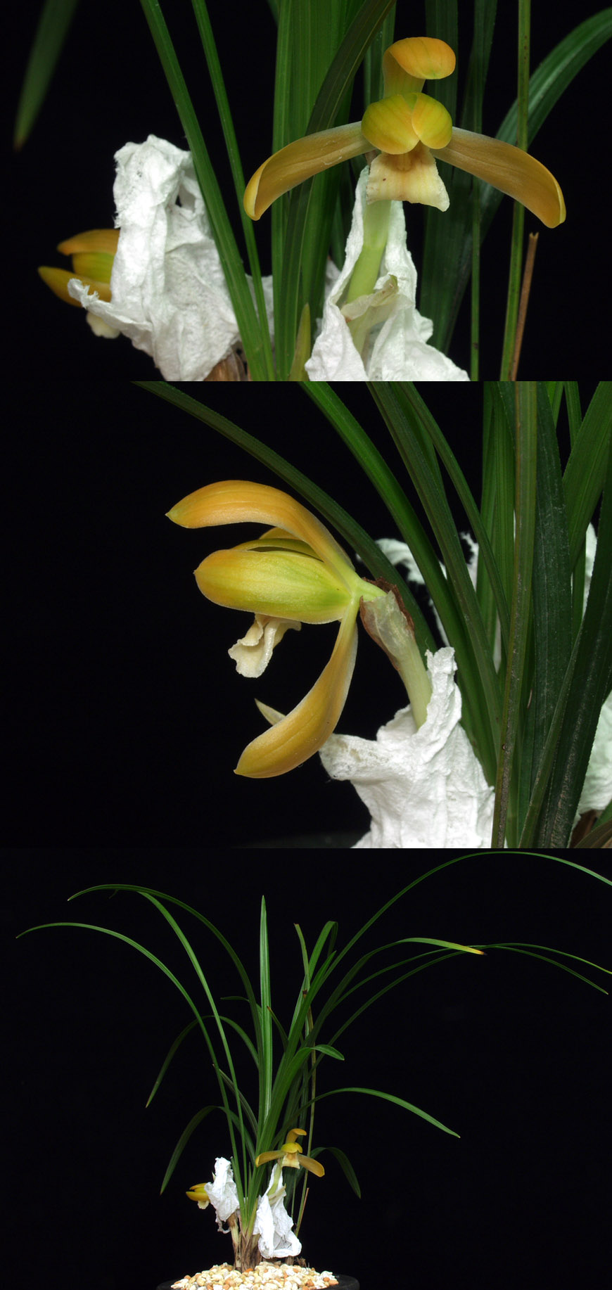 ������ ū������ �� �� �ֽ��ϴ�.