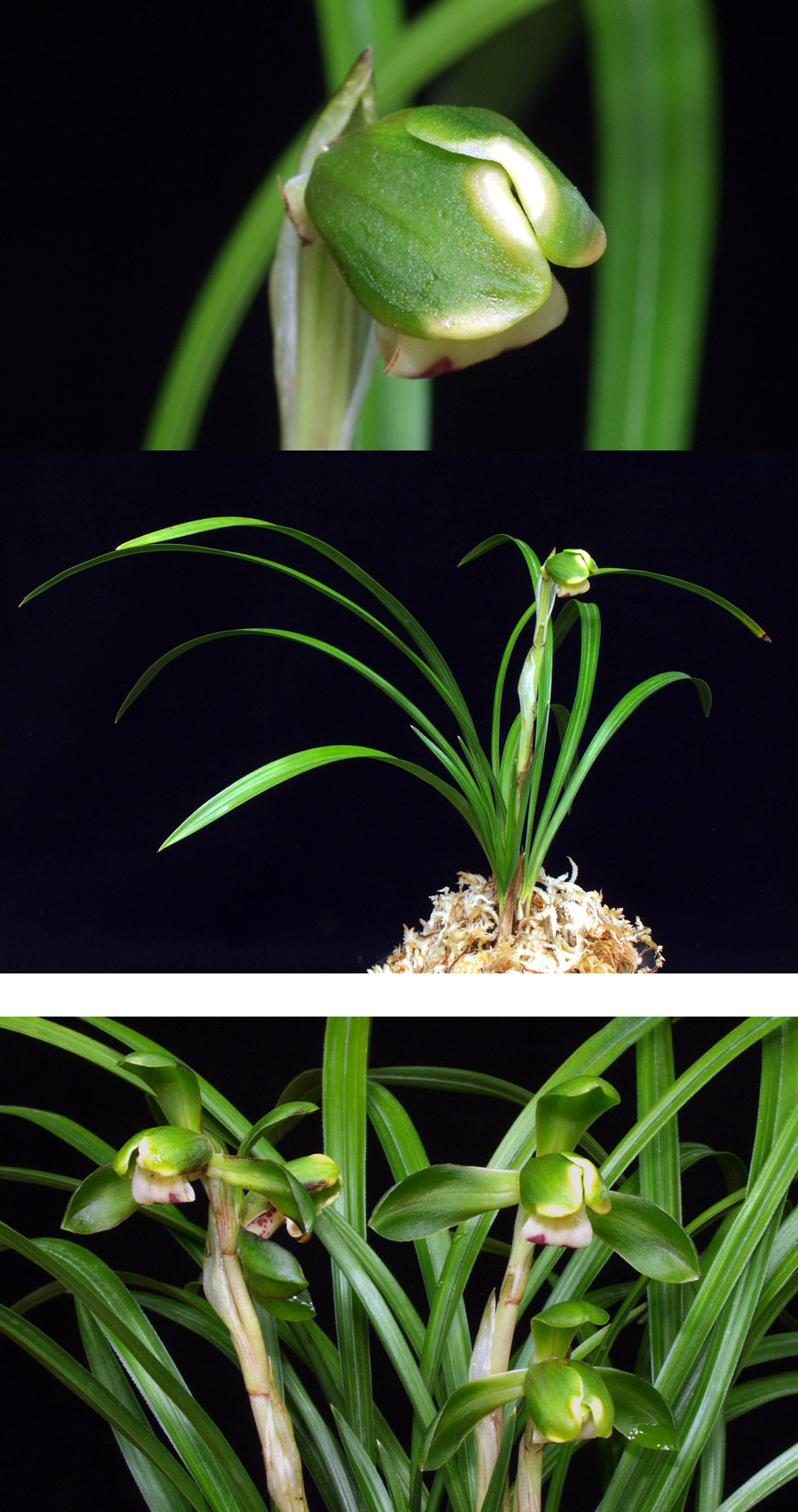 ������ ū������ �� �� �ֽ��ϴ�.