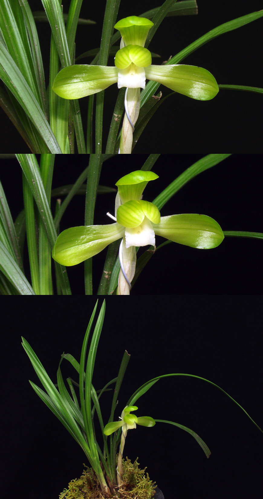 ������ ū������ �� �� �ֽ��ϴ�.