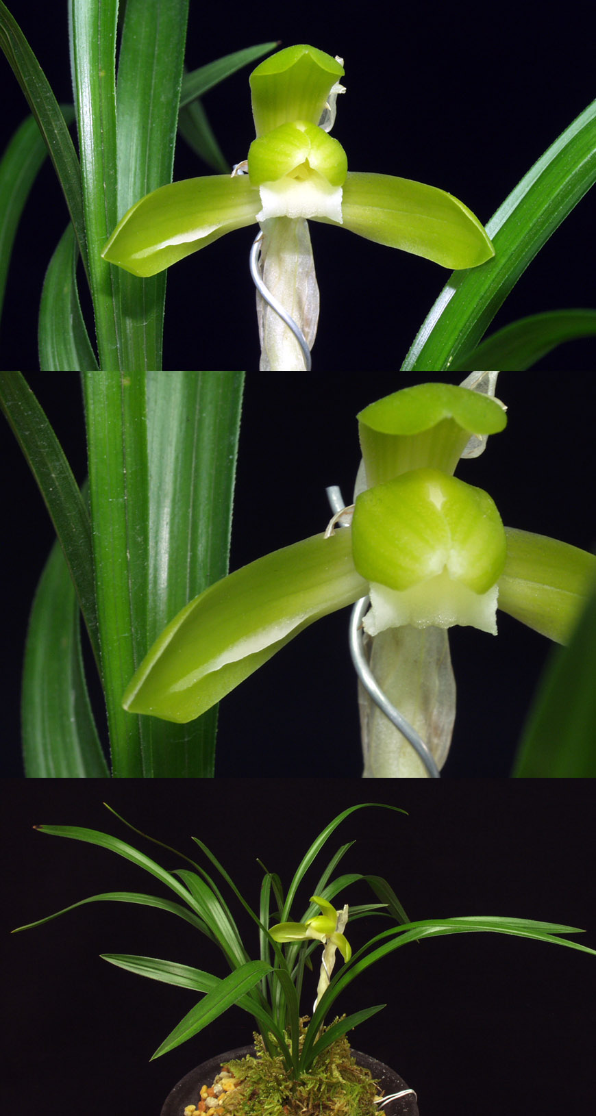 ������ ū������ �� �� �ֽ��ϴ�.