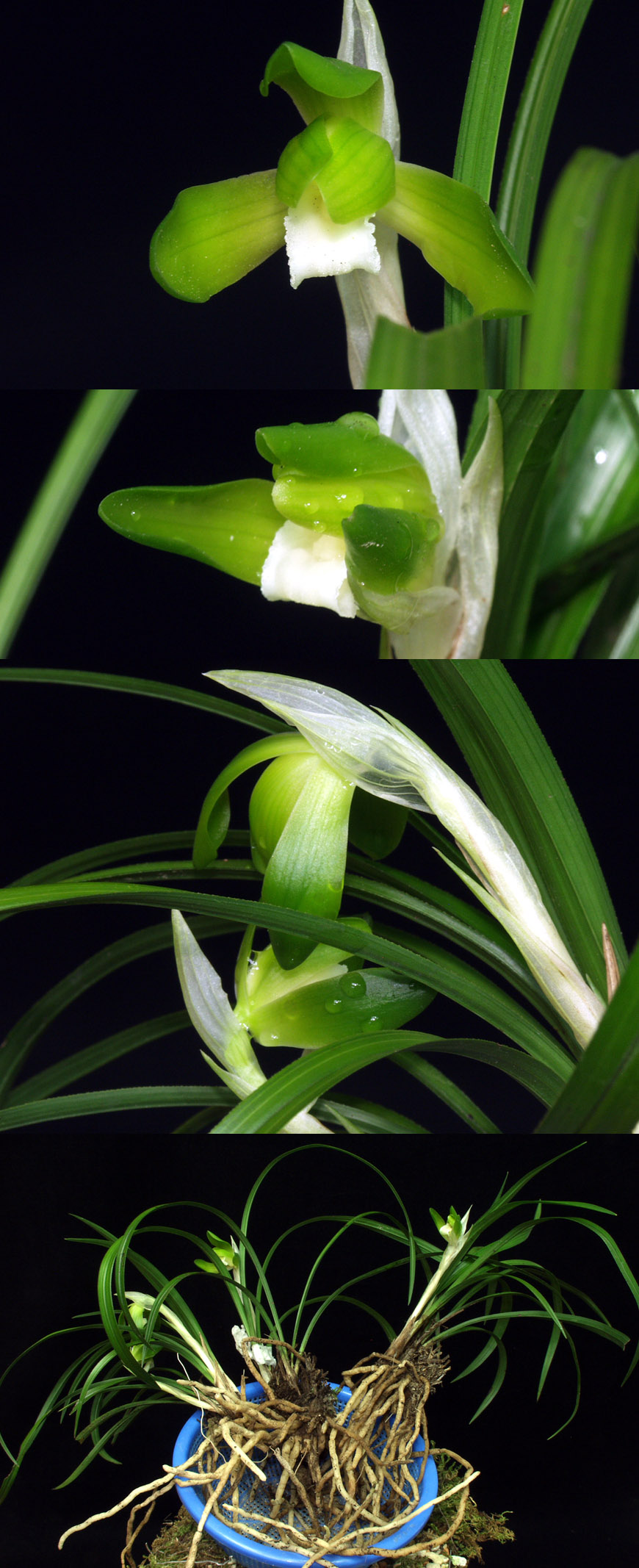 ������ ū������ �� �� �ֽ��ϴ�.