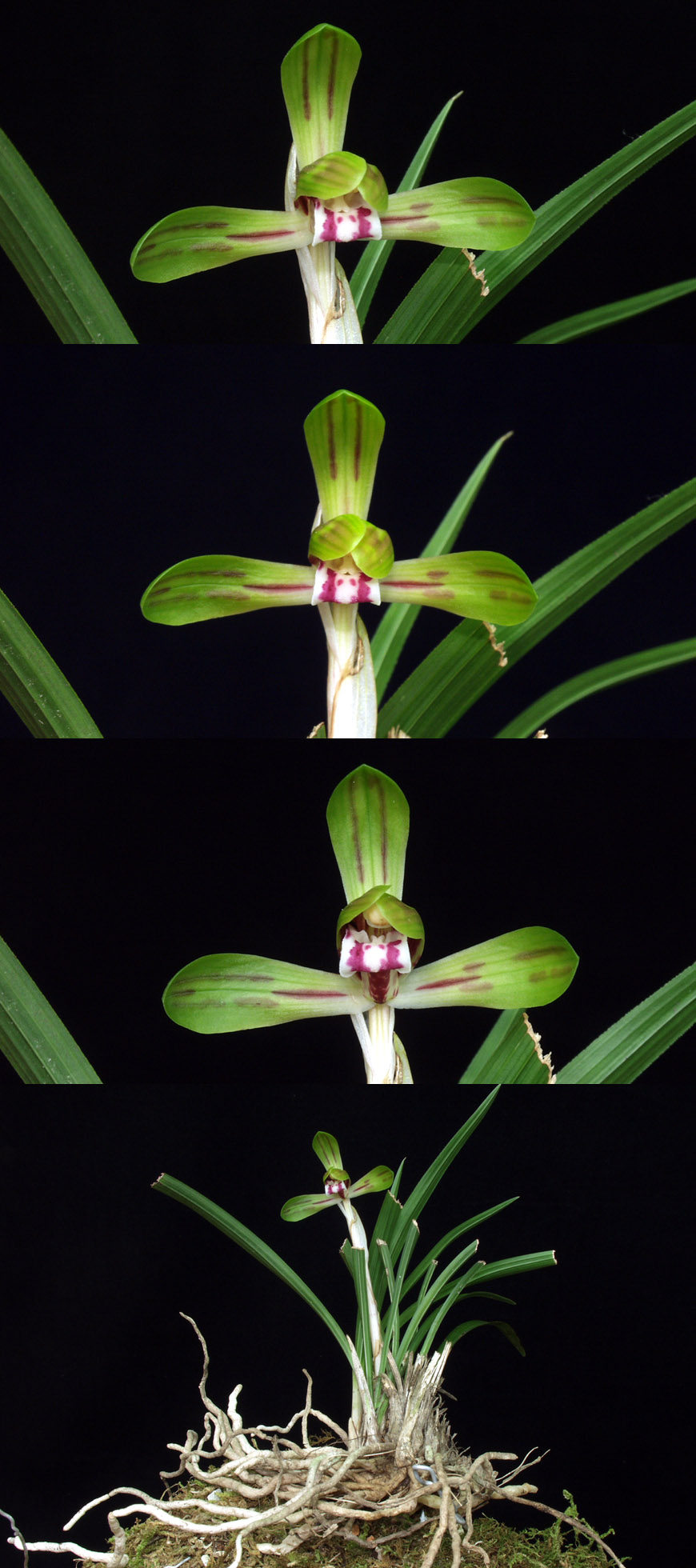 ������ ū������ �� �� �ֽ��ϴ�.