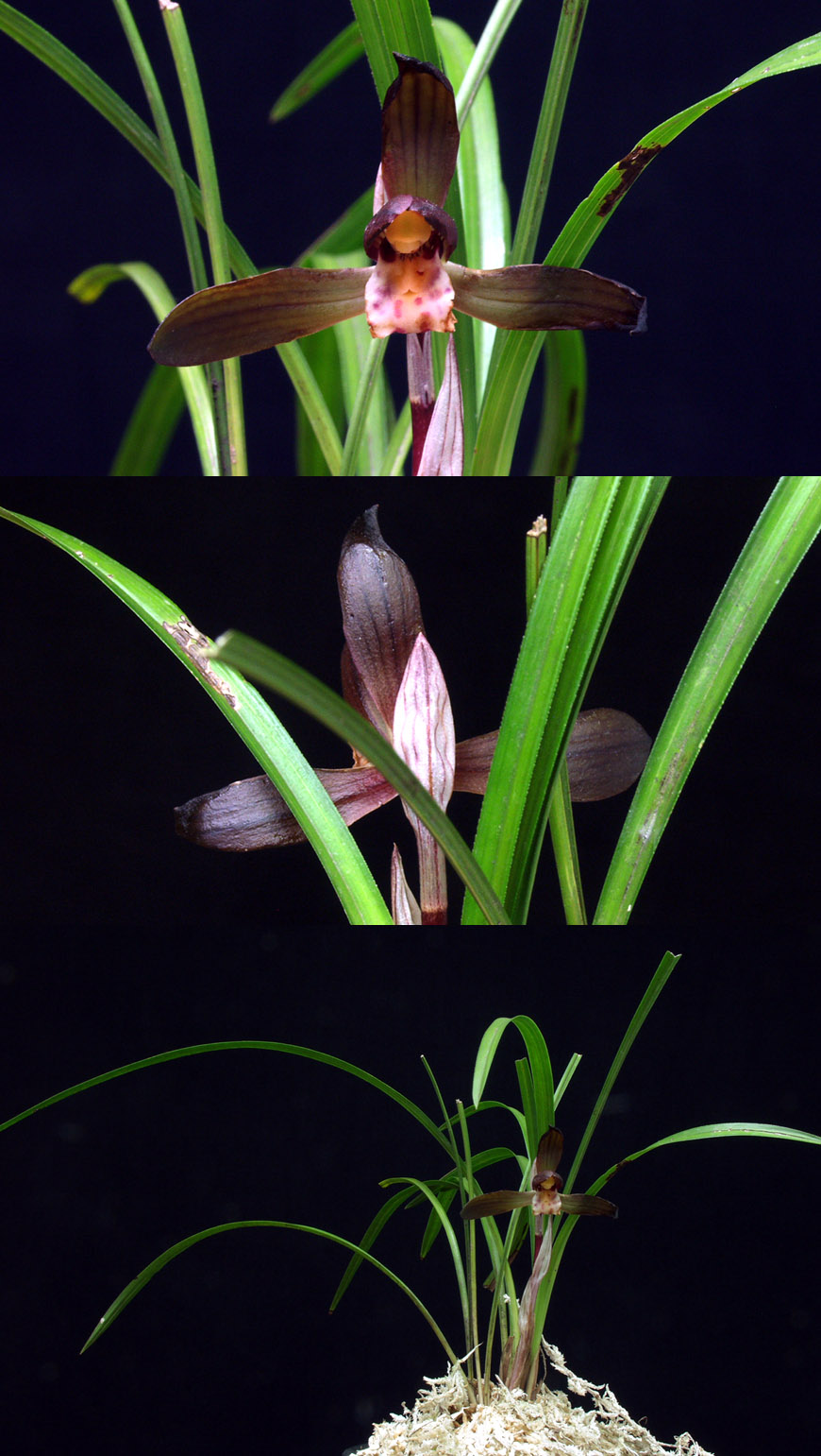 ������ ū������ �� �� �ֽ��ϴ�.