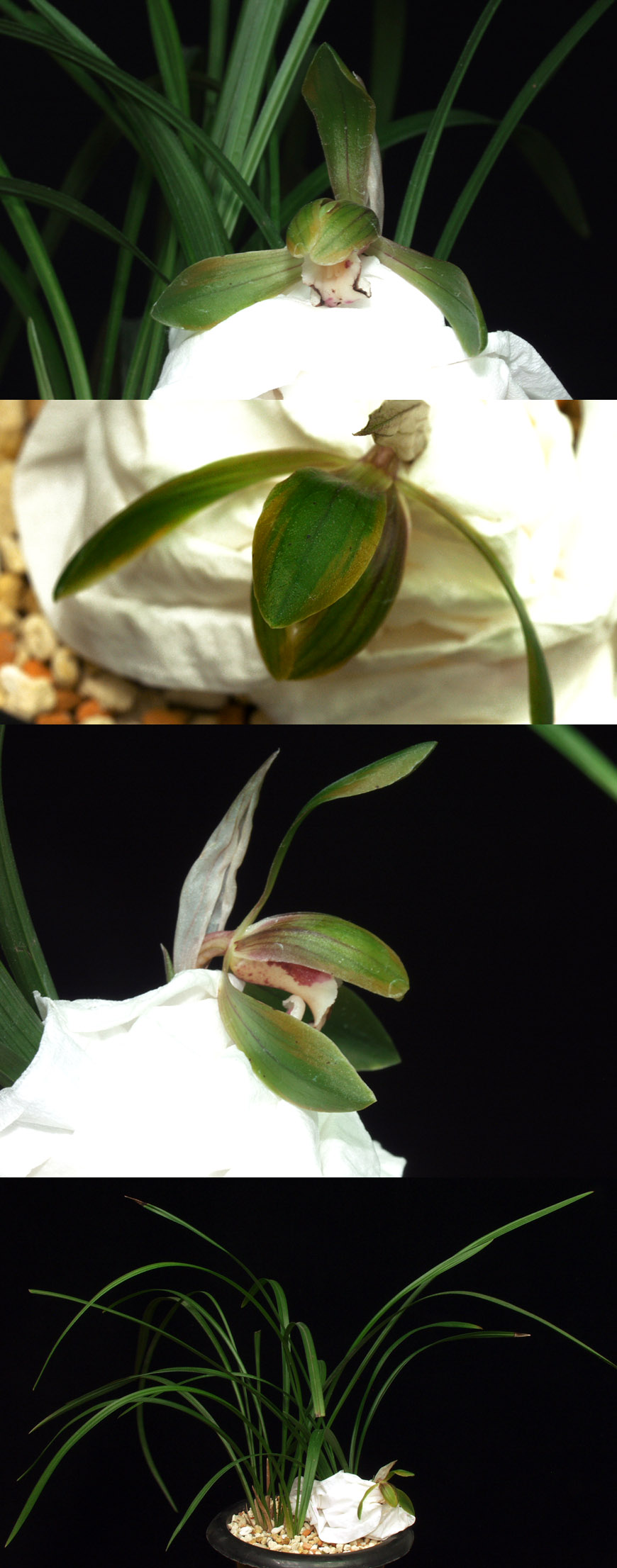 ������ ū������ �� �� �ֽ��ϴ�.