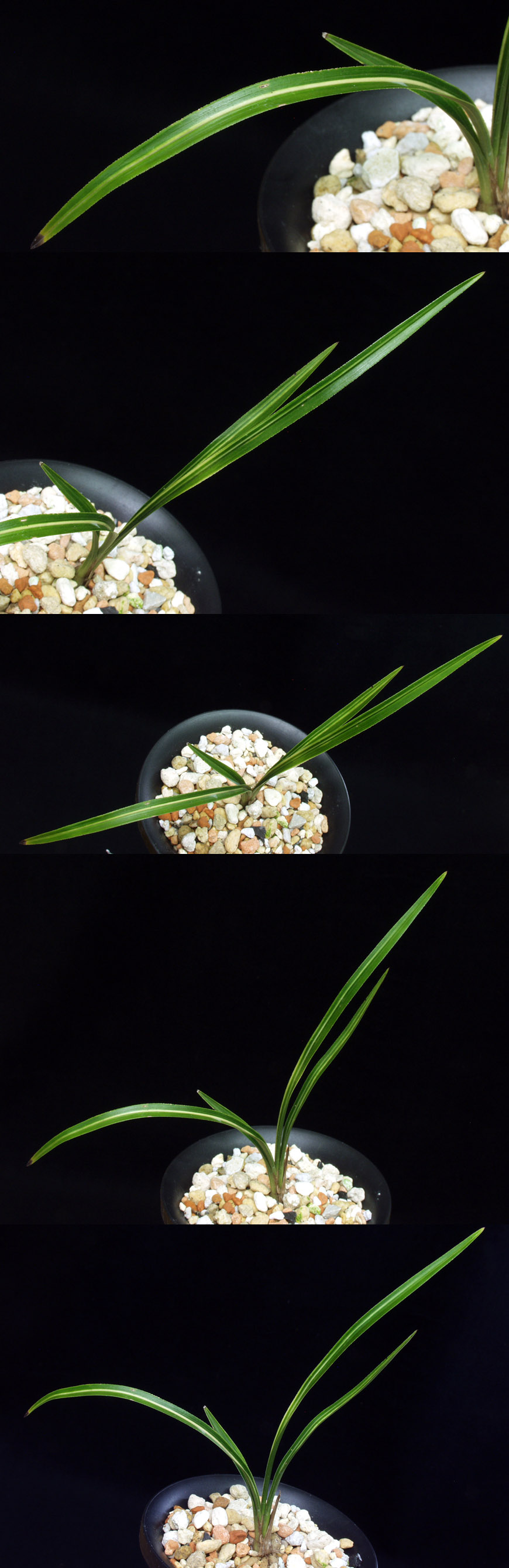 ������ ū������ �� �� �ֽ��ϴ�.