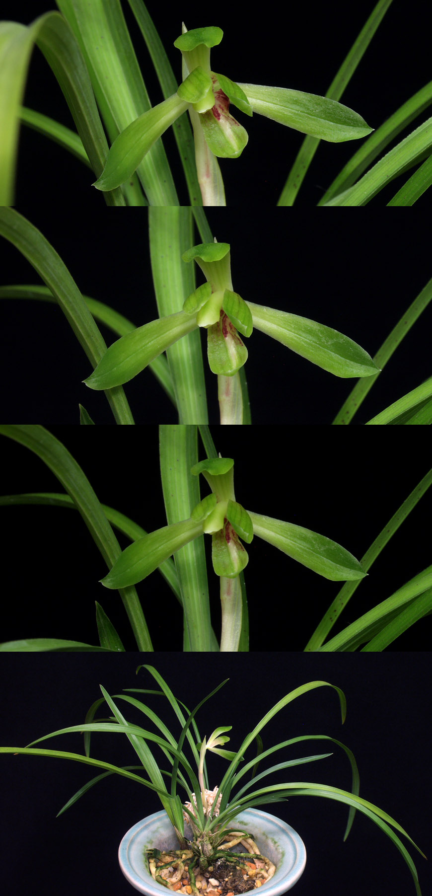 ������ ū������ �� �� �ֽ��ϴ�.