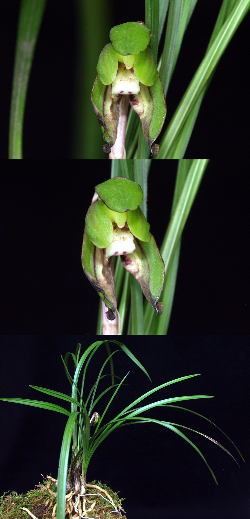 ������ ū������ �� �� �ֽ��ϴ�.