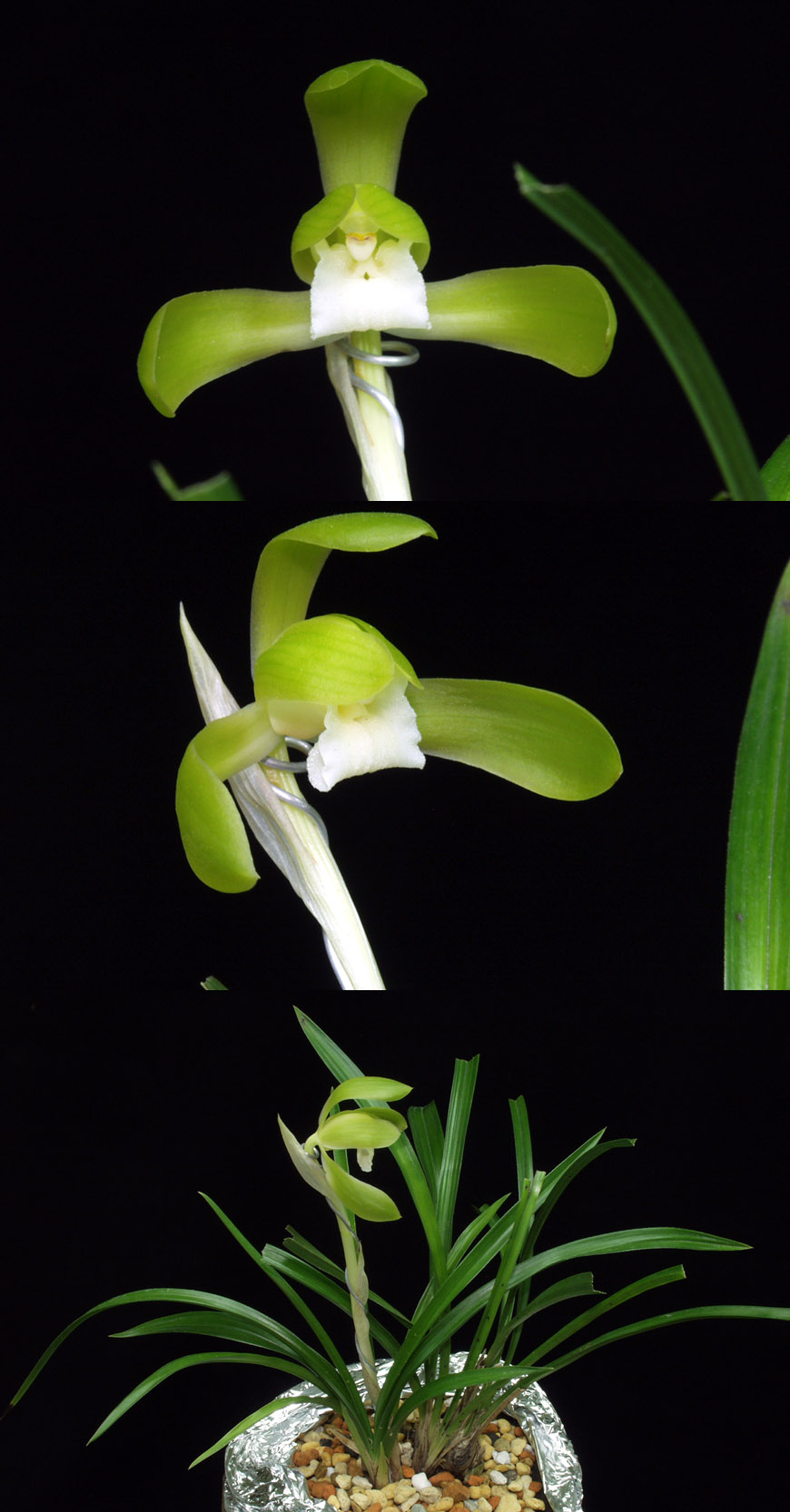 ������ ū������ �� �� �ֽ��ϴ�.