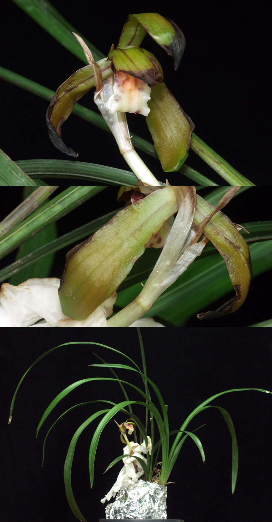 ������ ū������ �� �� �ֽ��ϴ�.