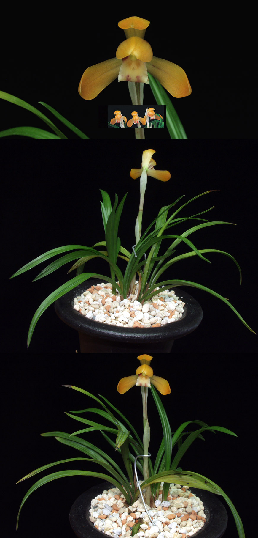 ������ ū������ �� �� �ֽ��ϴ�.