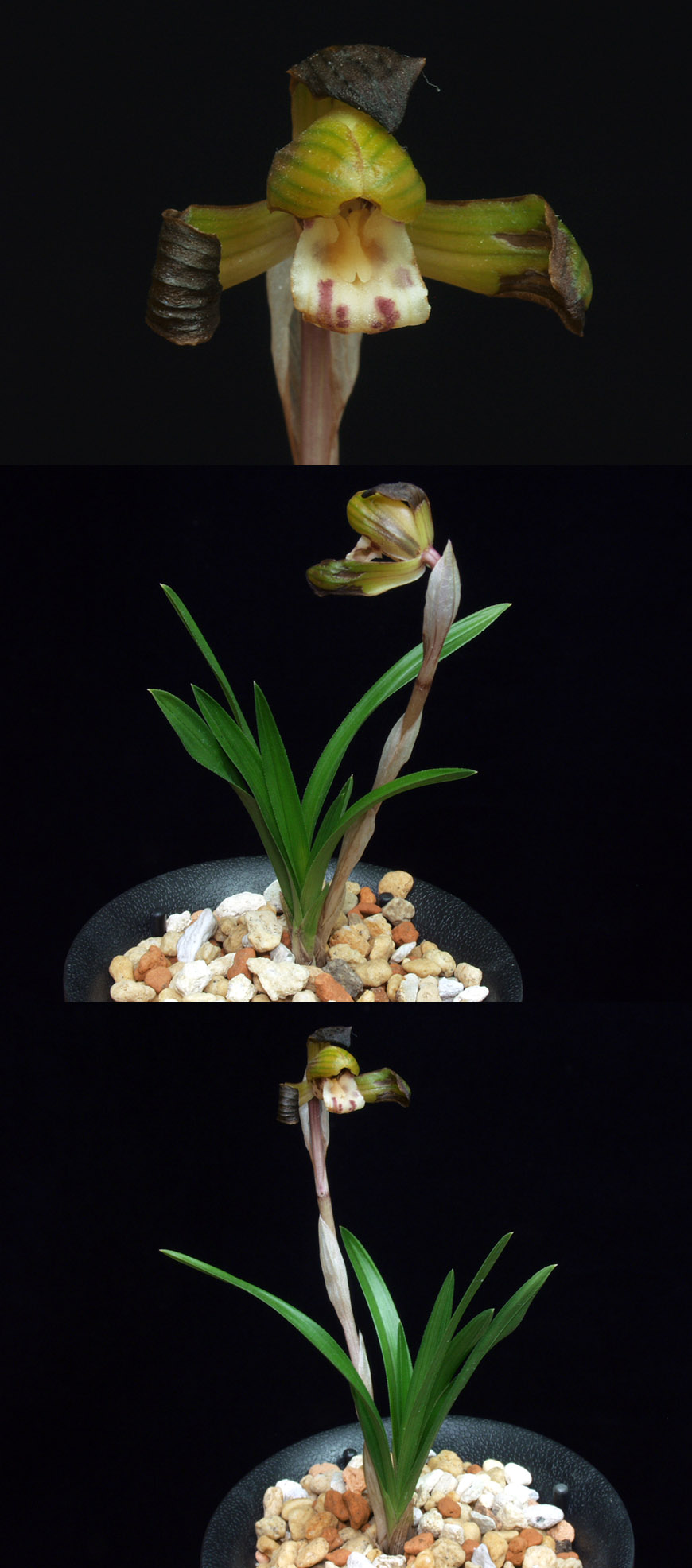 ������ ū������ �� �� �ֽ��ϴ�.