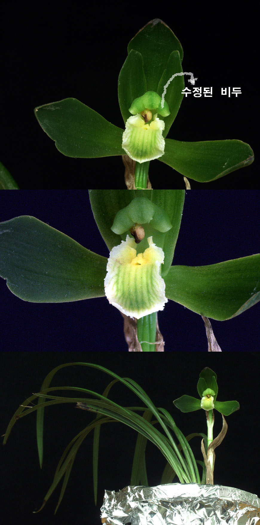 ������ ū������ �� �� �ֽ��ϴ�.