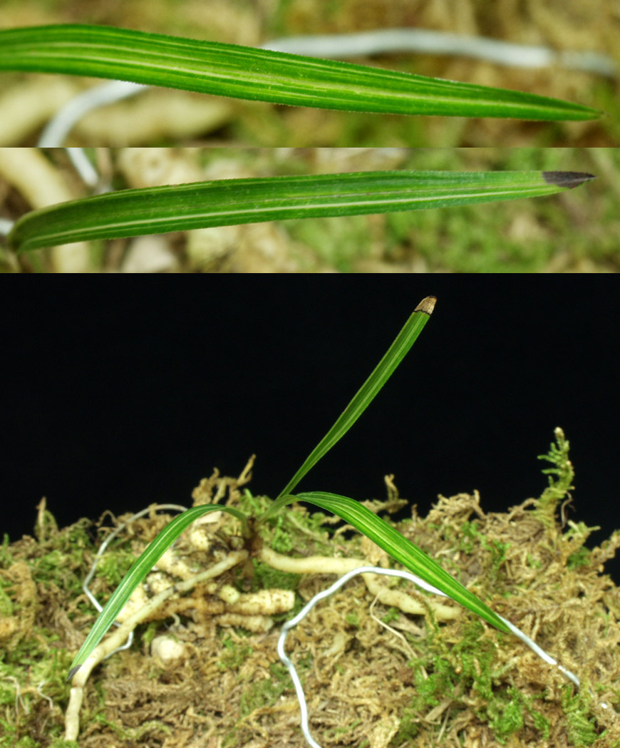 ������ ū������ �� �� �ֽ��ϴ�.