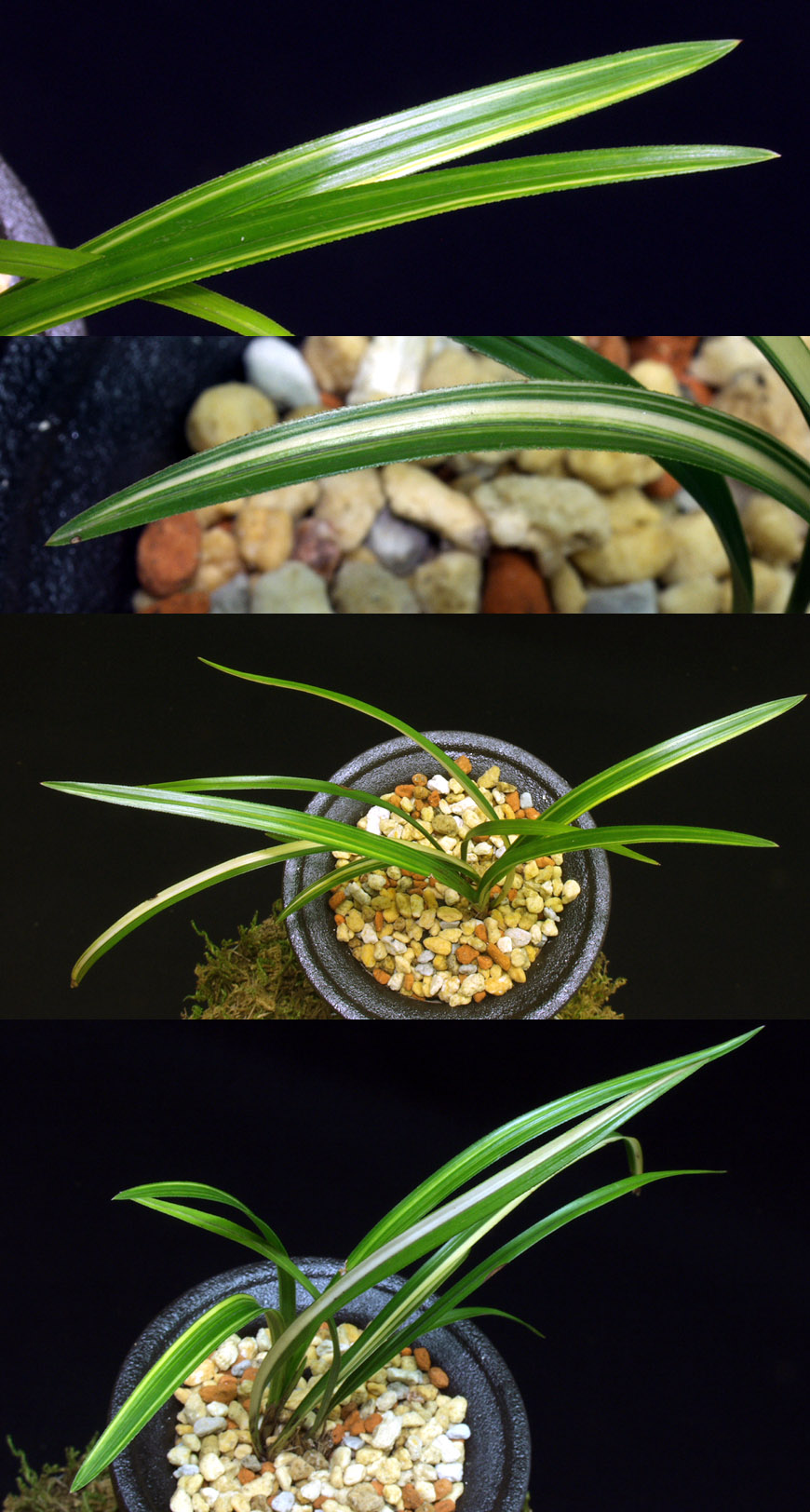 ������ ū������ �� �� �ֽ��ϴ�.