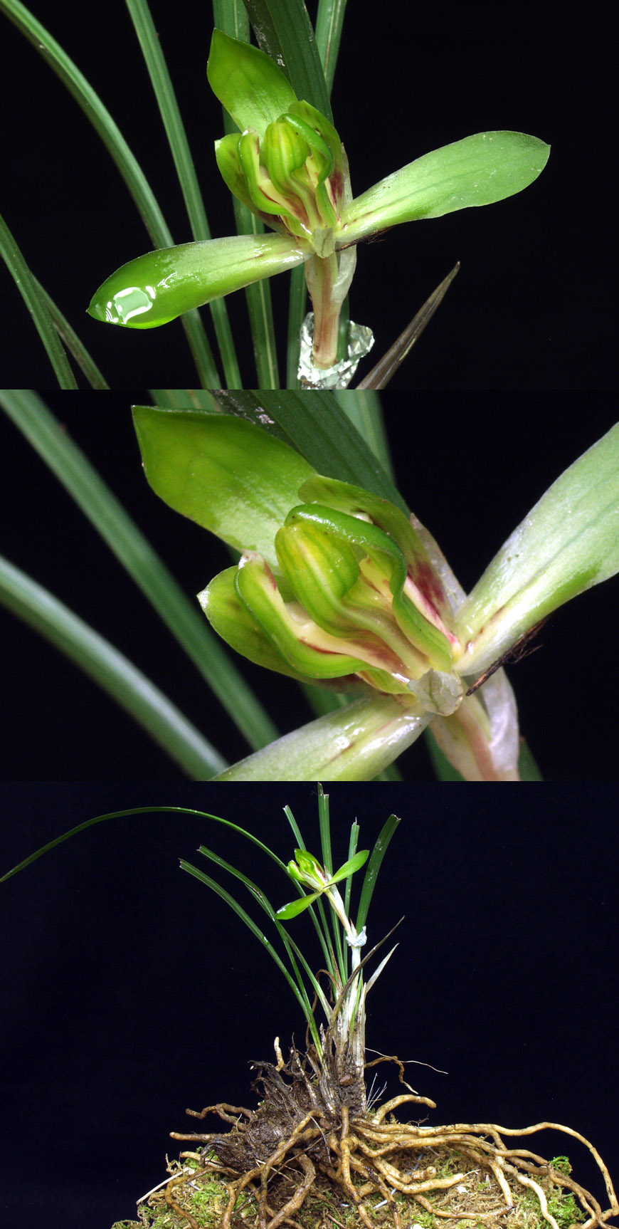 ������ ū������ �� �� �ֽ��ϴ�.