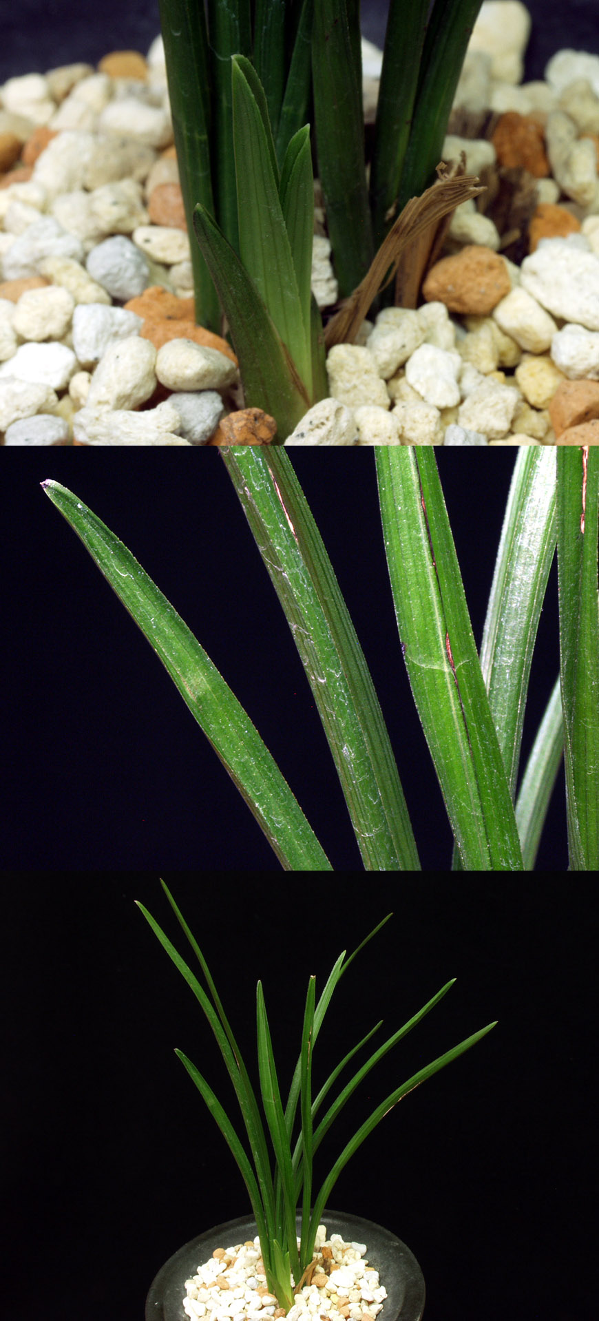 ������ ū������ �� �� �ֽ��ϴ�.