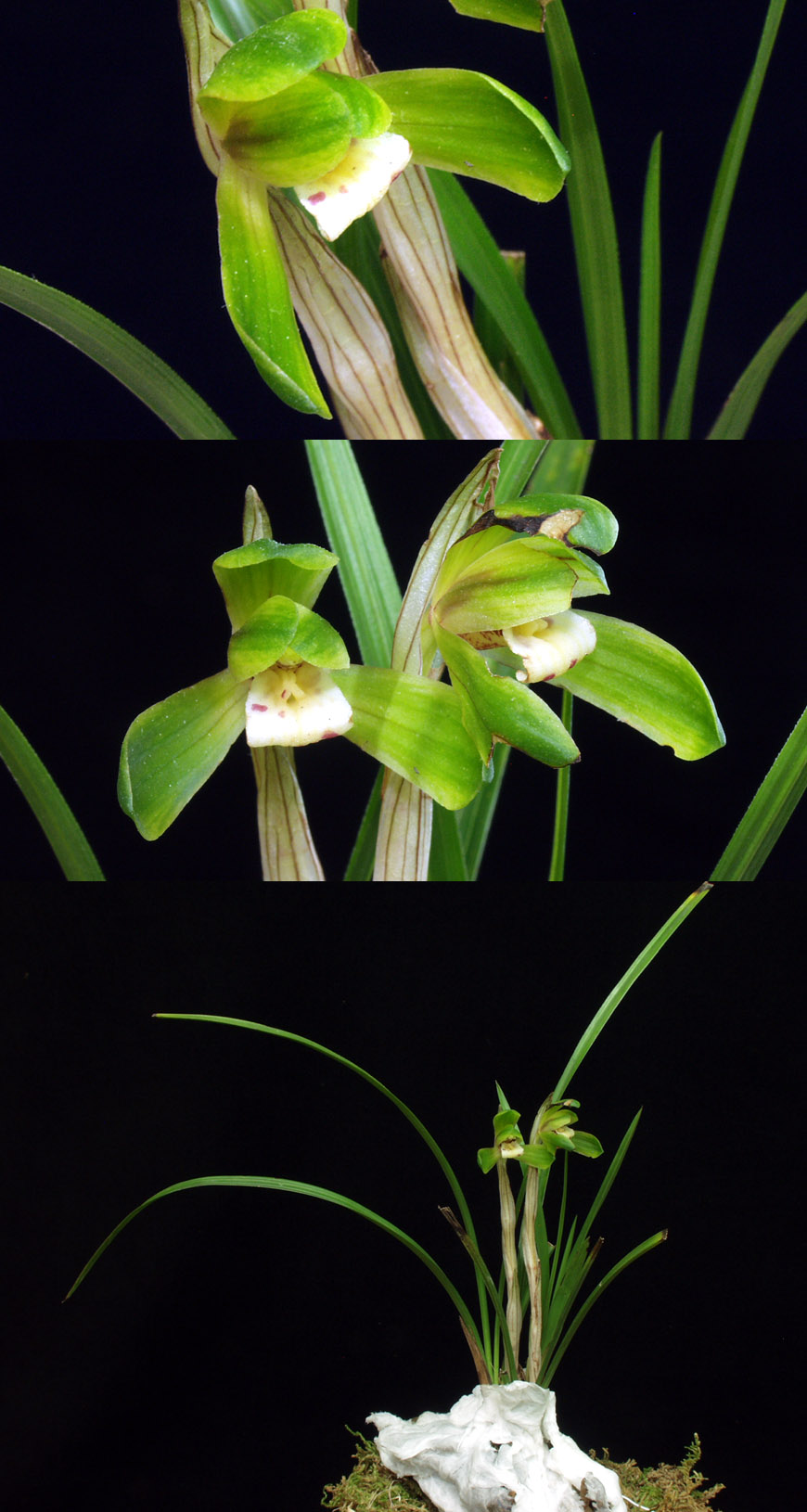 ������ ū������ �� �� �ֽ��ϴ�.