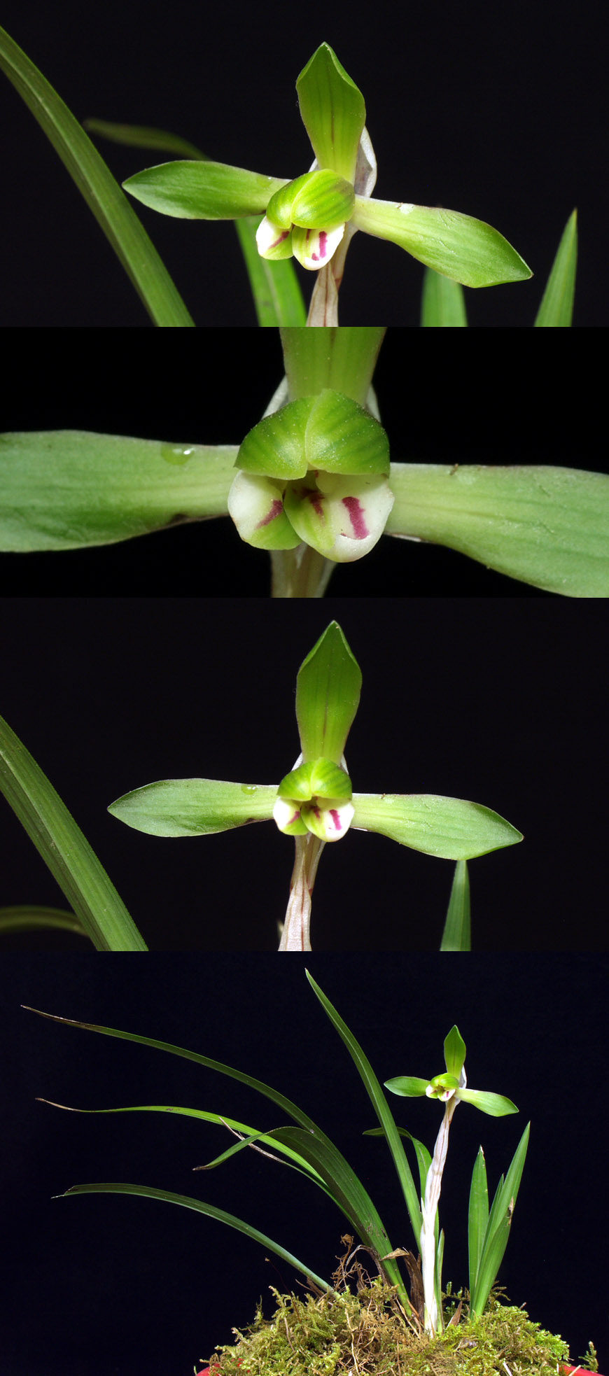 ������ ū������ �� �� �ֽ��ϴ�.