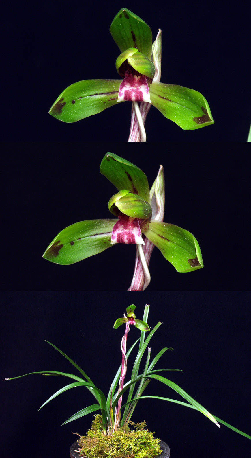 ������ ū������ �� �� �ֽ��ϴ�.