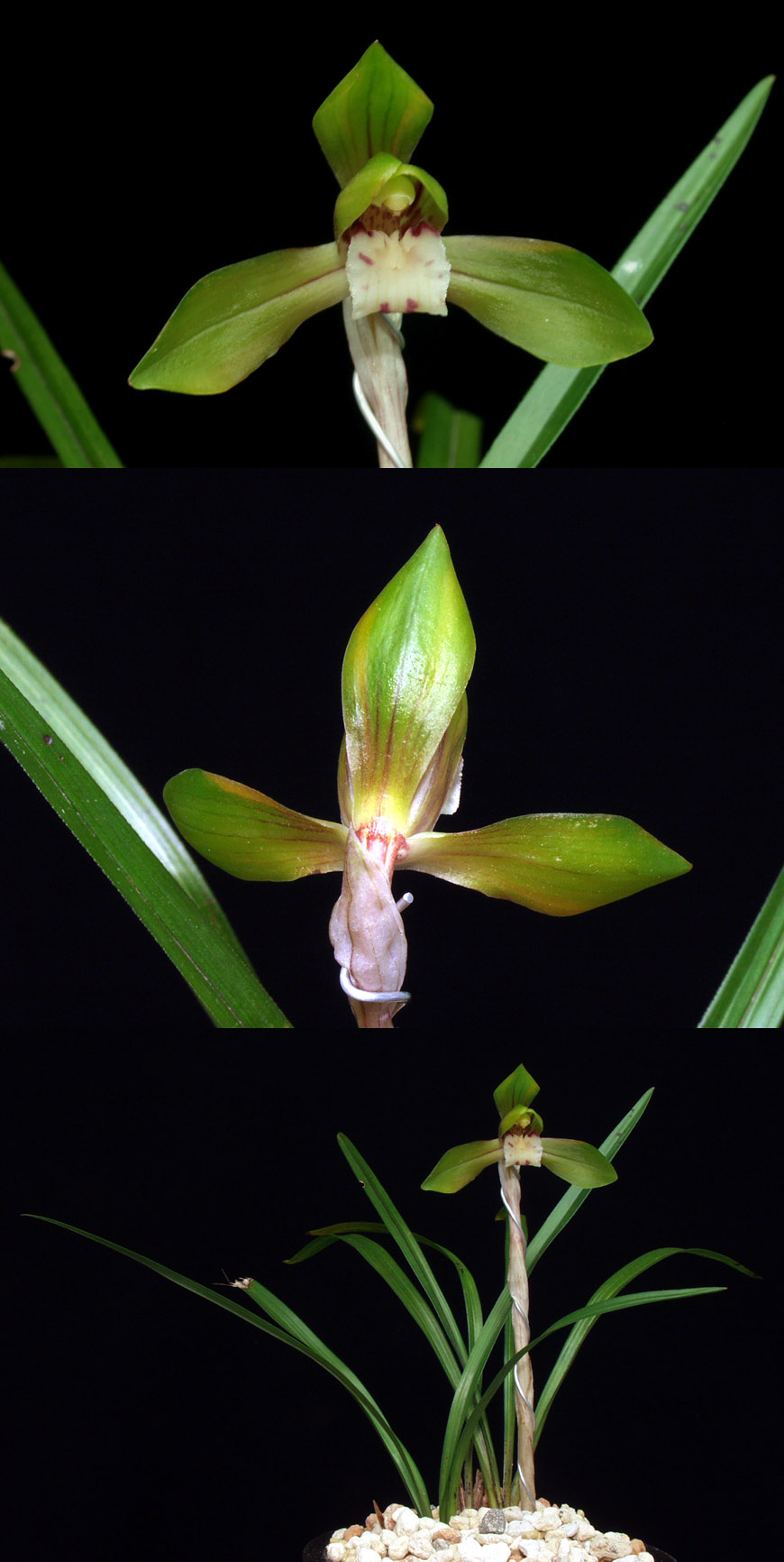 ������ ū������ �� �� �ֽ��ϴ�.