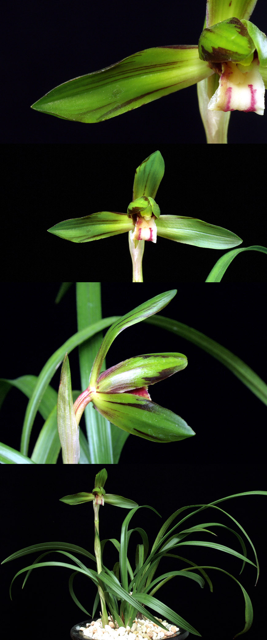 ������ ū������ �� �� �ֽ��ϴ�.