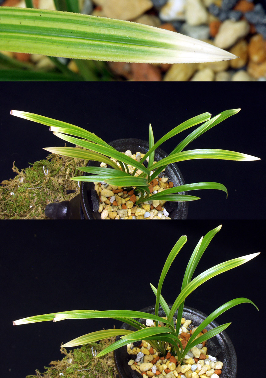 ������ ū������ �� �� �ֽ��ϴ�.