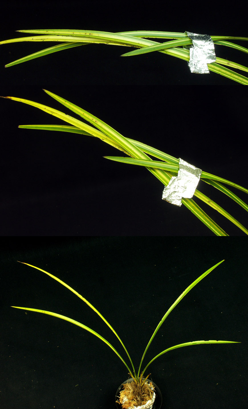 ������ ū������ �� �� �ֽ��ϴ�.