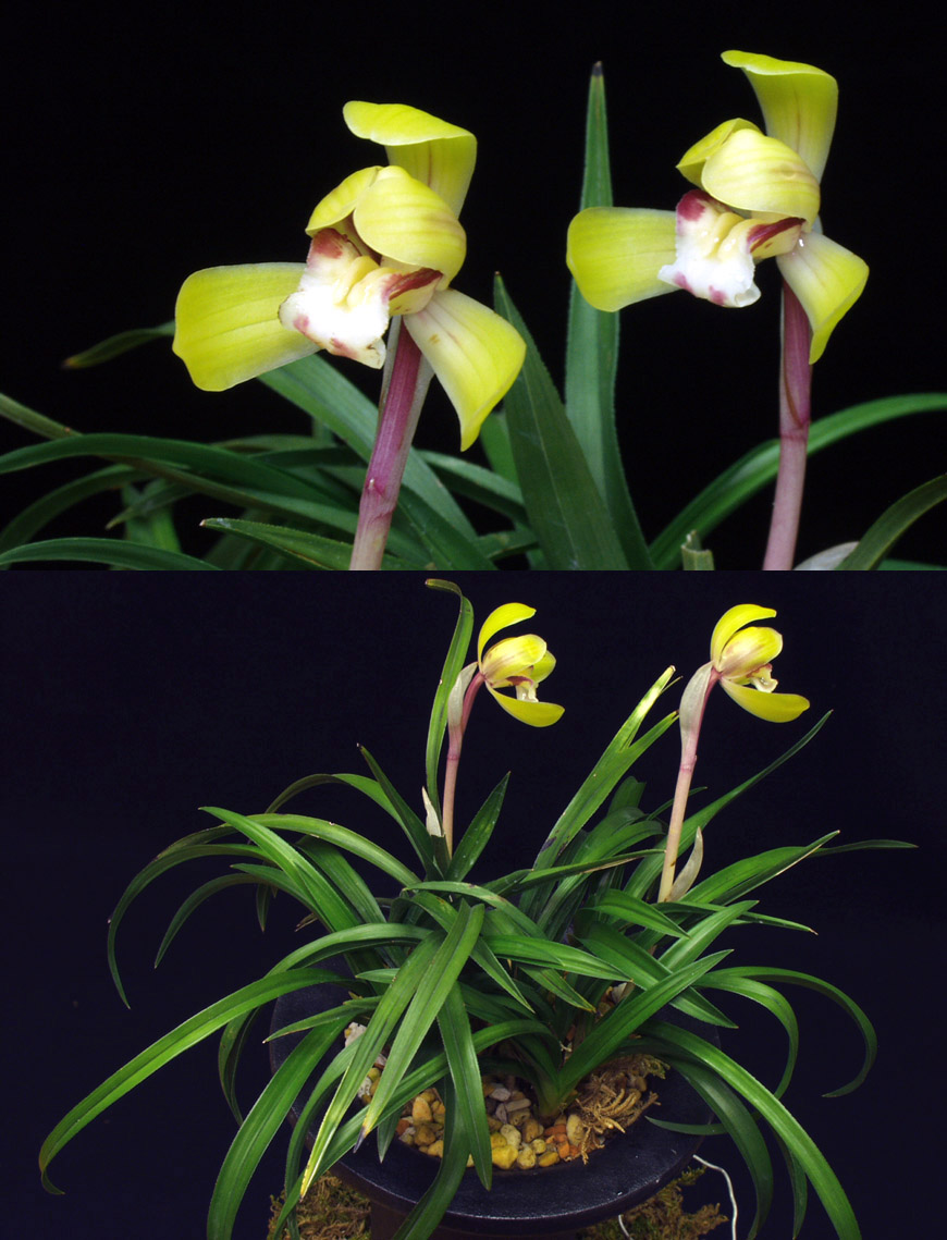 ������ ū������ �� �� �ֽ��ϴ�.