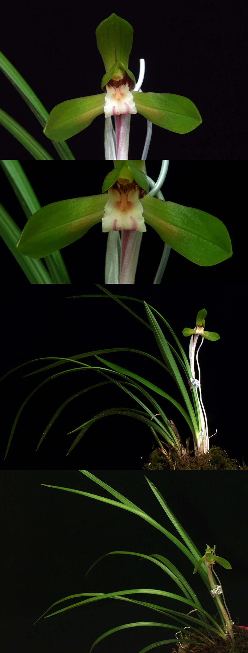 ������ ū������ �� �� �ֽ��ϴ�.