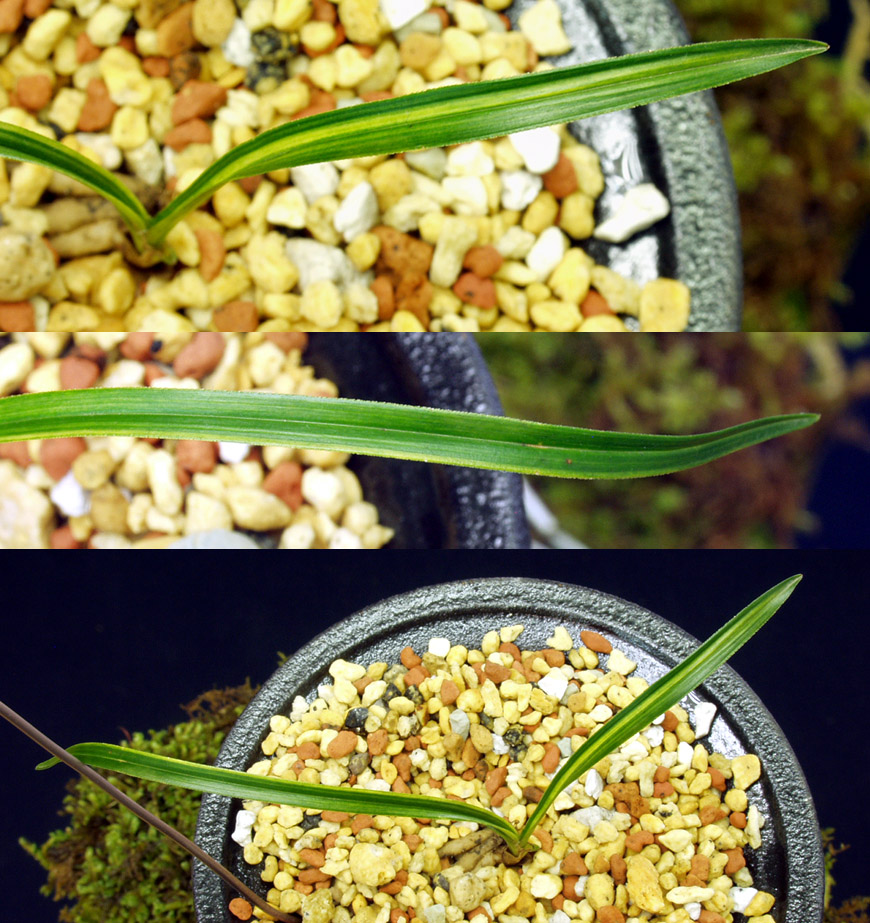 ������ ū������ �� �� �ֽ��ϴ�.