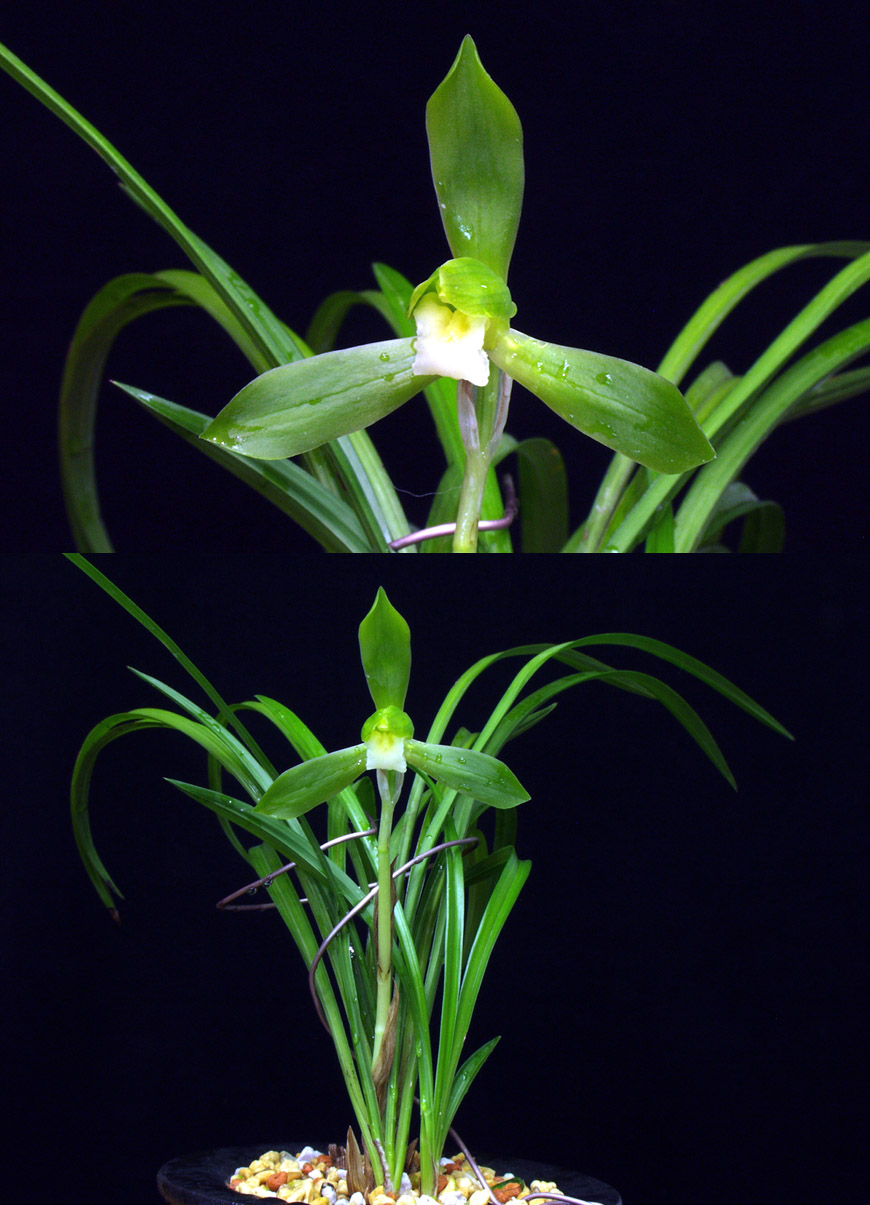 ������ ū������ �� �� �ֽ��ϴ�.