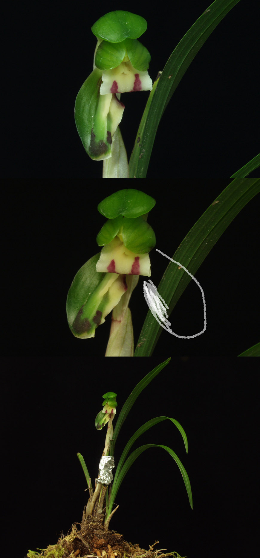 ������ ū������ �� �� �ֽ��ϴ�.