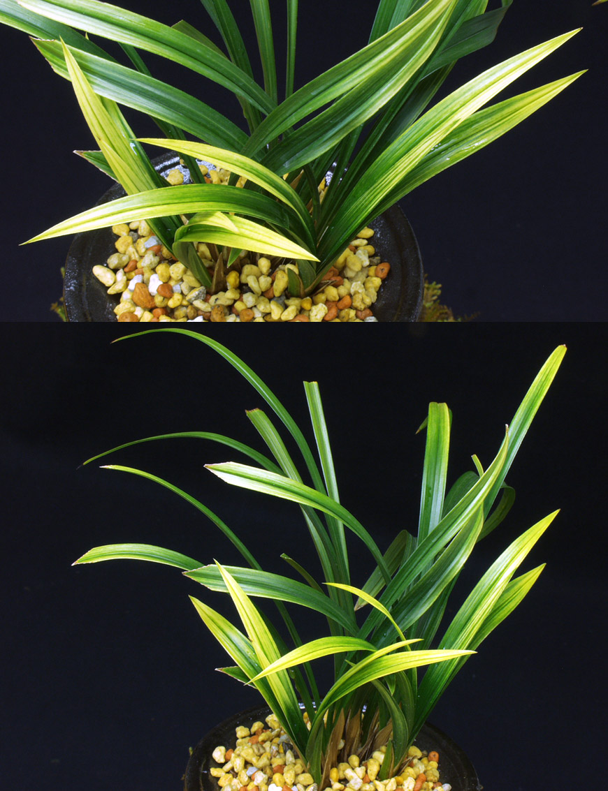 ������ ū������ �� �� �ֽ��ϴ�.