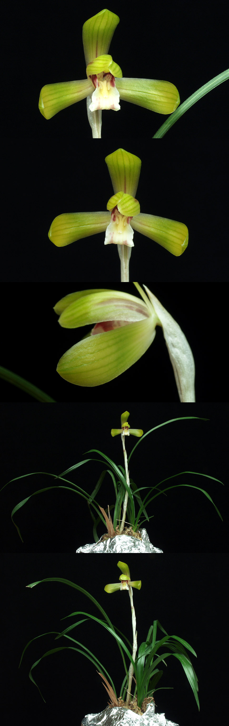 ������ ū������ �� �� �ֽ��ϴ�.