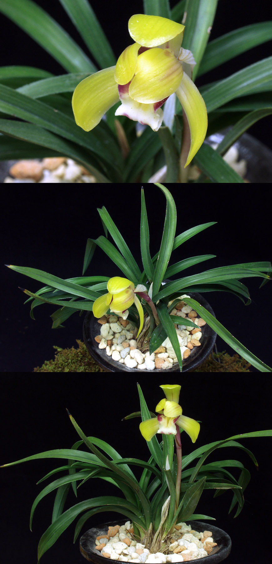 ������ ū������ �� �� �ֽ��ϴ�.