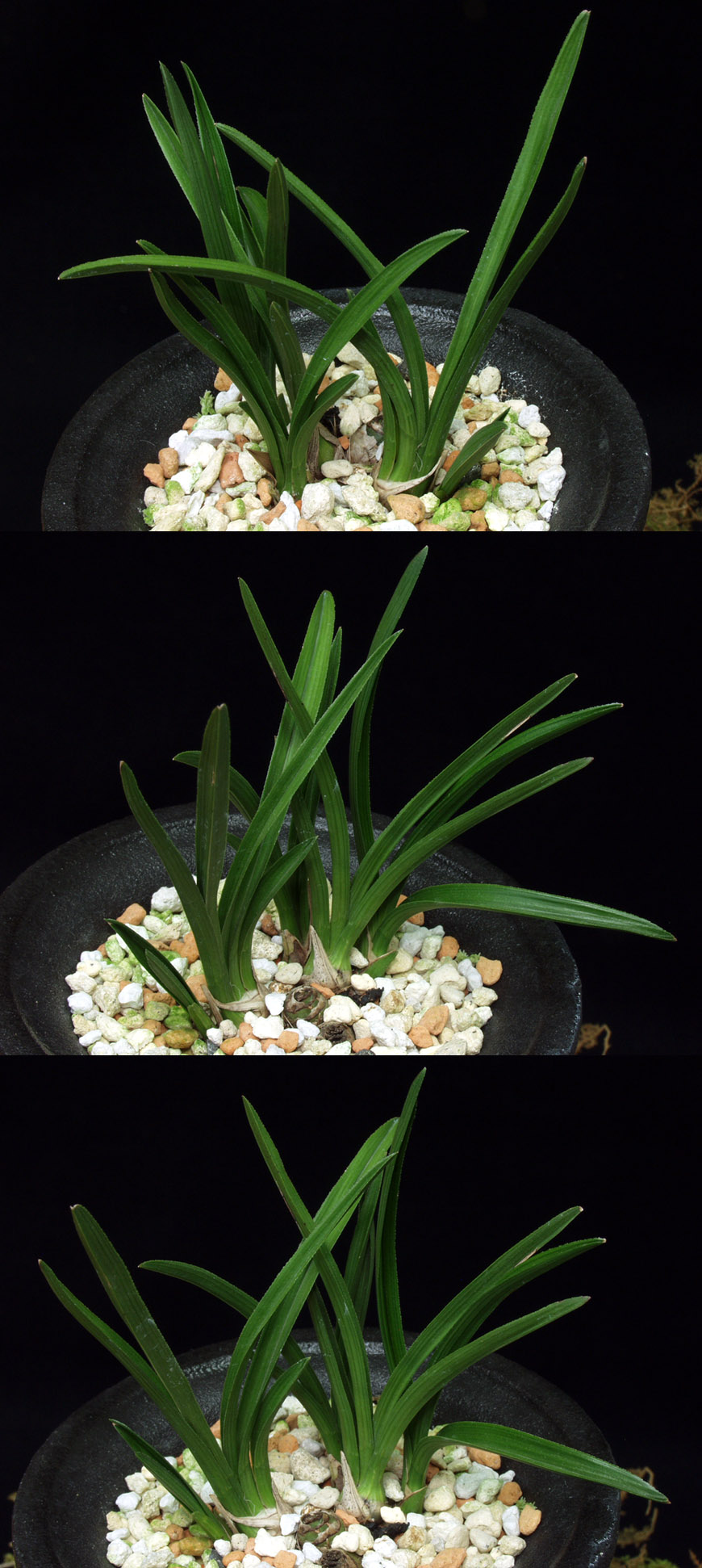 ������ ū������ �� �� �ֽ��ϴ�.