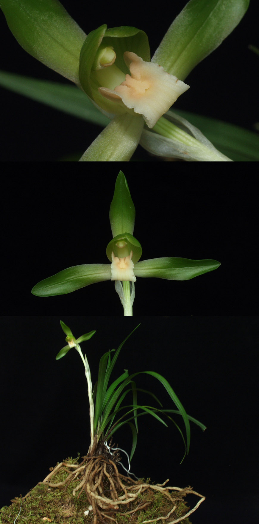 ������ ū������ �� �� �ֽ��ϴ�.