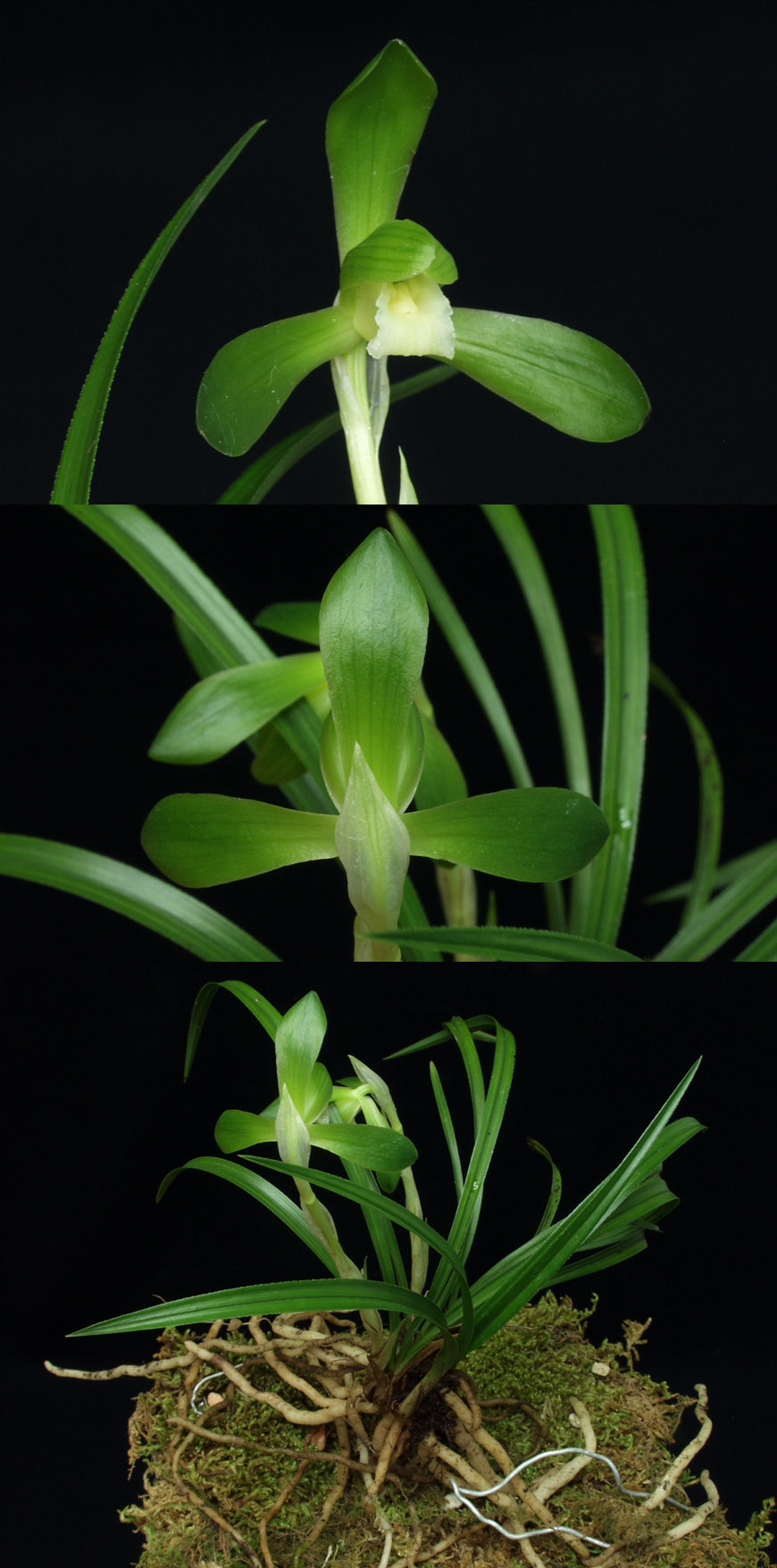 ������ ū������ �� �� �ֽ��ϴ�.