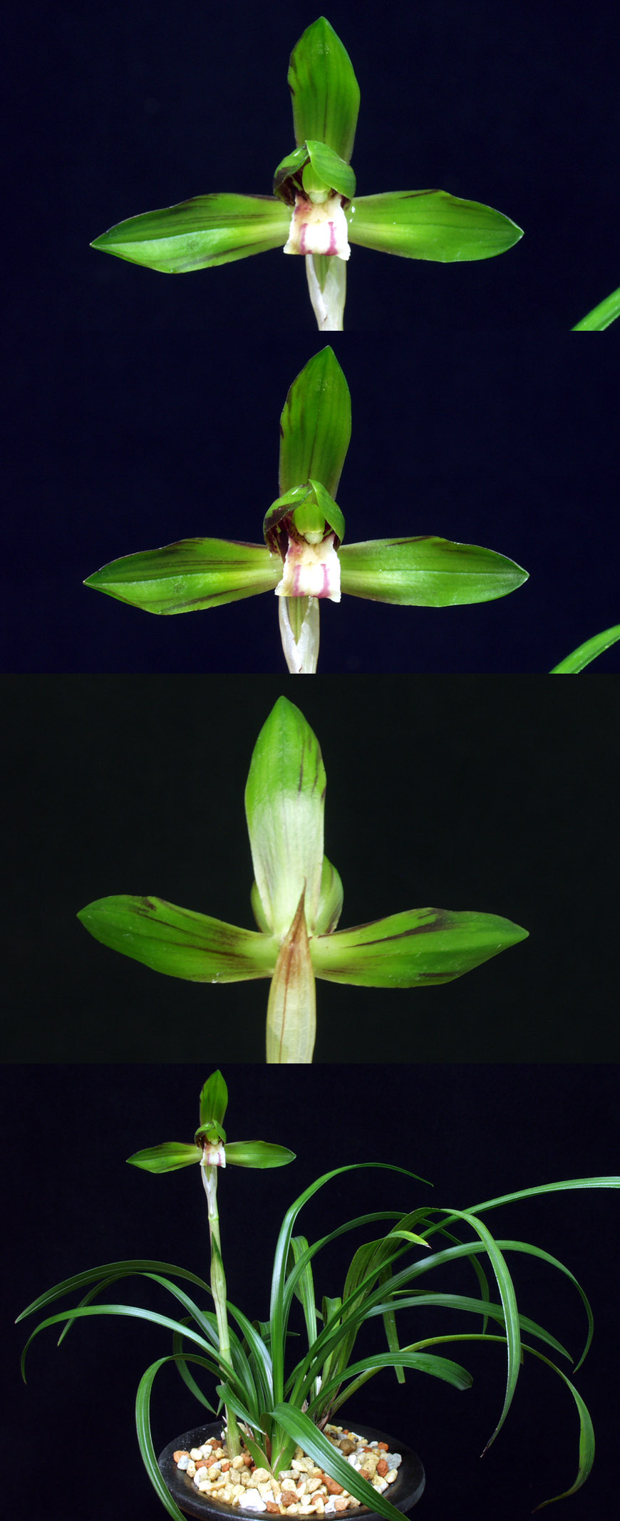 ������ ū������ �� �� �ֽ��ϴ�.