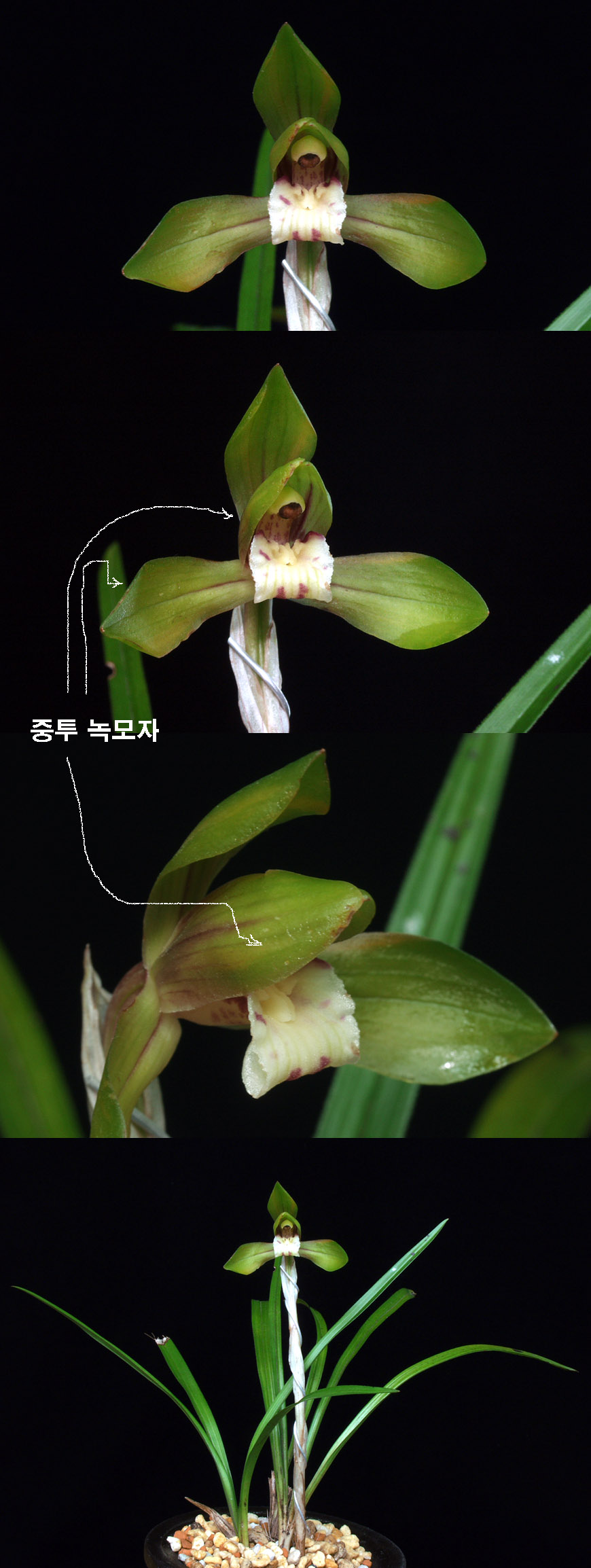 ������ ū������ �� �� �ֽ��ϴ�.