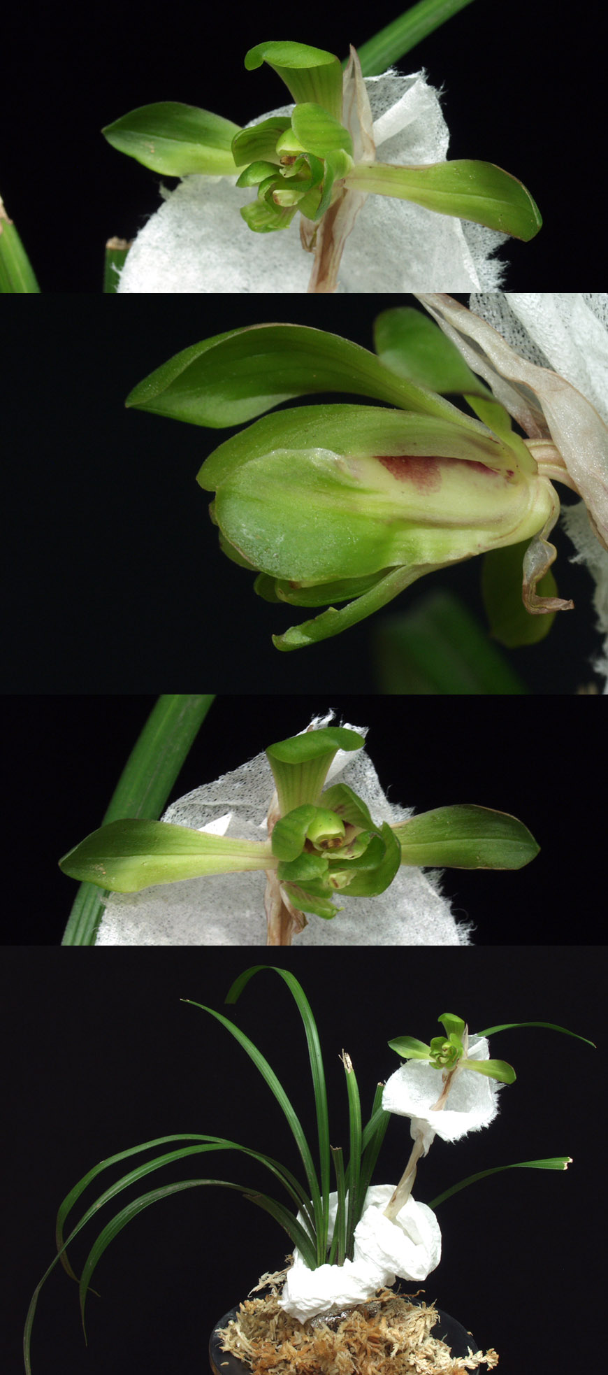 ������ ū������ �� �� �ֽ��ϴ�.