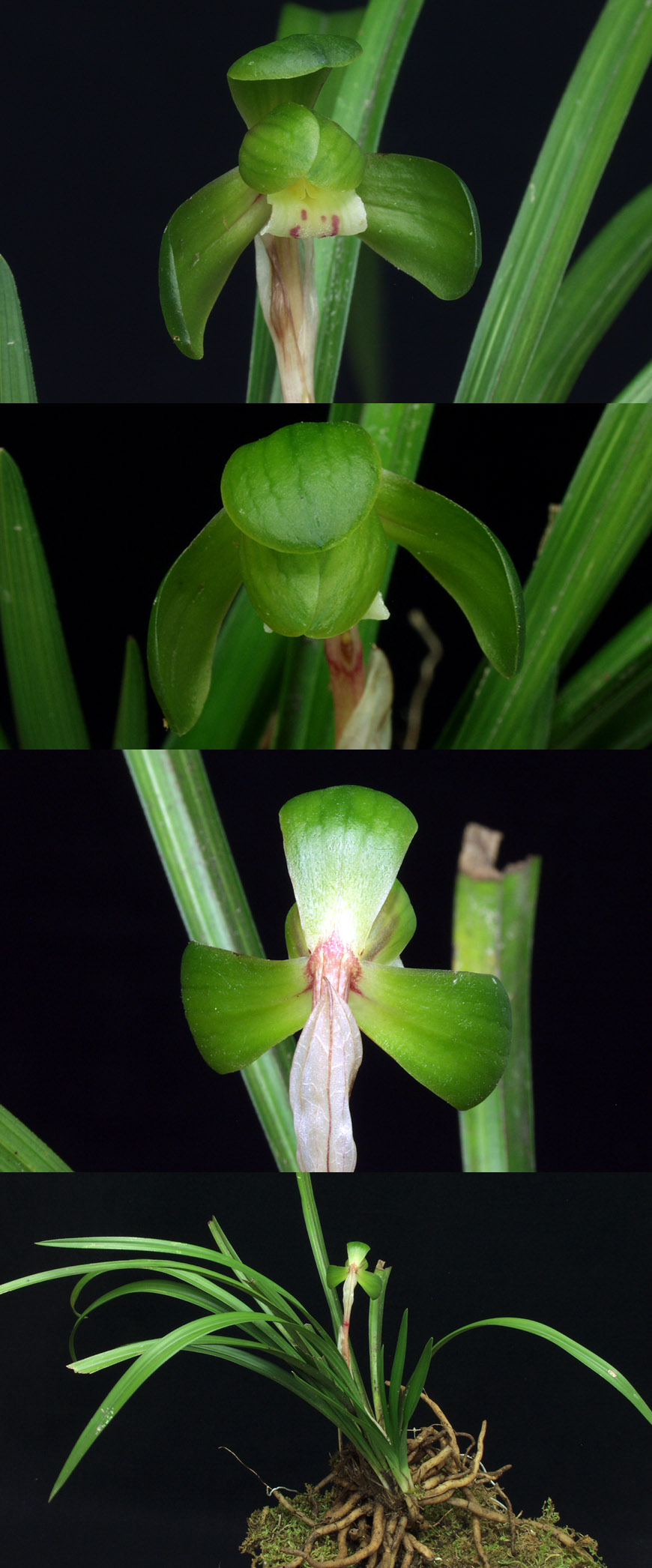 ������ ū������ �� �� �ֽ��ϴ�.