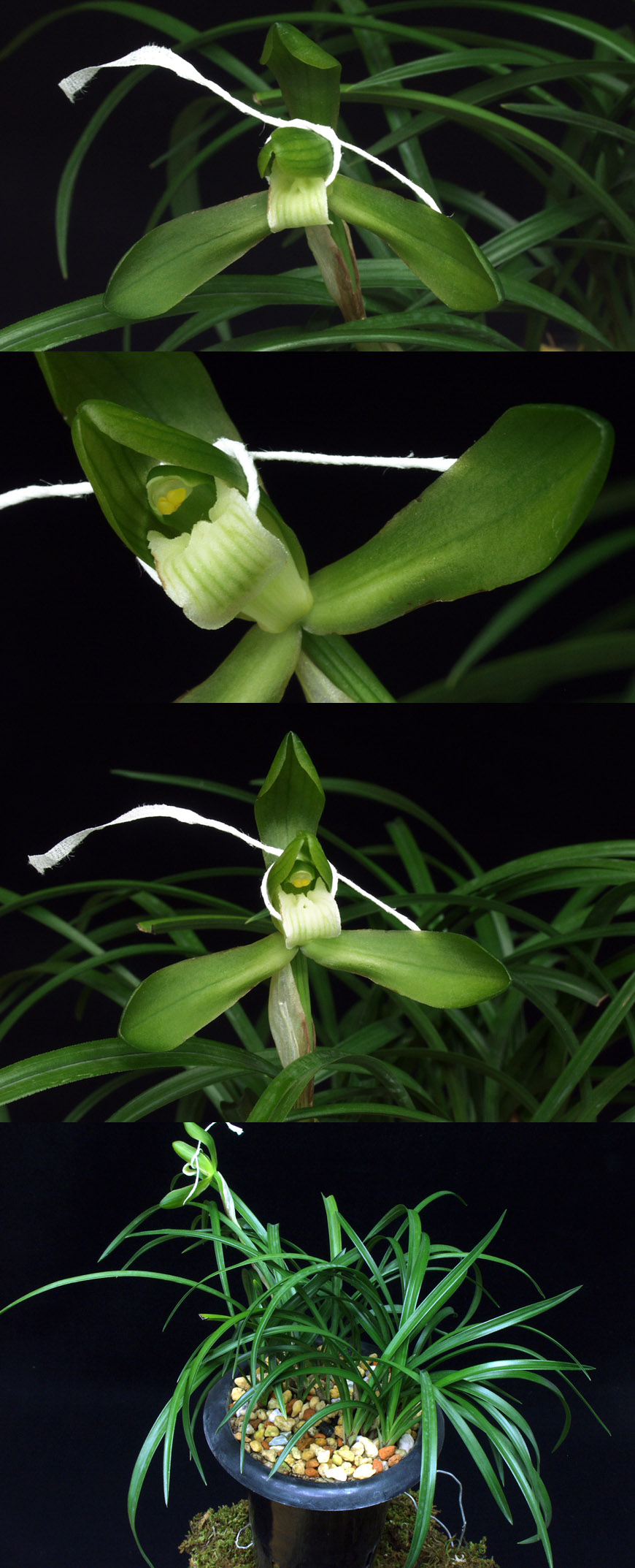 ������ ū������ �� �� �ֽ��ϴ�.